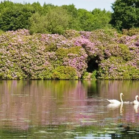 Killyliss Bed and Breakfast 4*