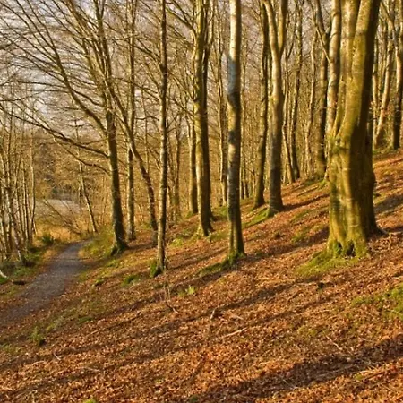 Bed & Breakfast Killyliss Lisnalong