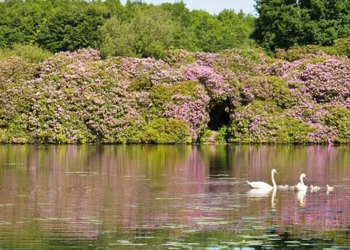 Killyliss Bed & Breakfast 4*