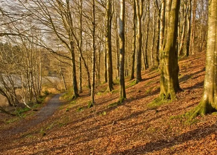 Bed & Breakfast Killyliss Lisnalong